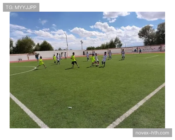 南美足球焕发新生机：国内联赛竞争白热化，国际赛场表现抢眼