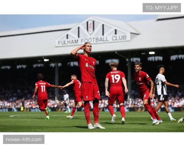 努涅斯在利物浦的战术角色定位分析 努涅斯在利物浦的战术角色定位分析